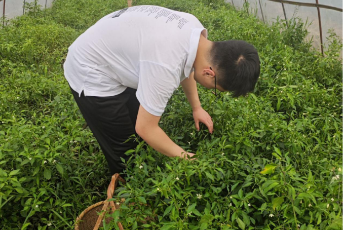 龙尊娱乐场